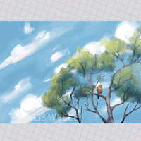 Hawk in pine tree | large print