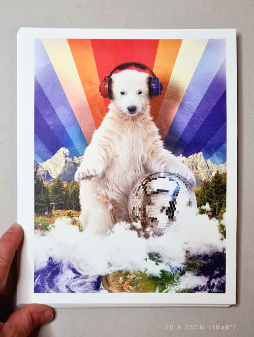 Image of Polar Disco Cub