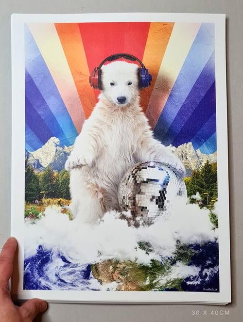 Image of Polar Disco Cub