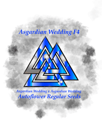 Asgardian Wedding F4