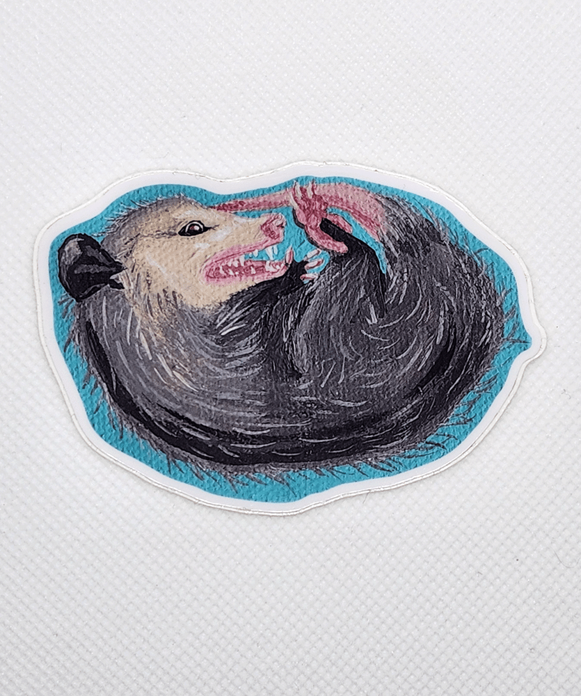 Image of Play Dead Possum Sticker