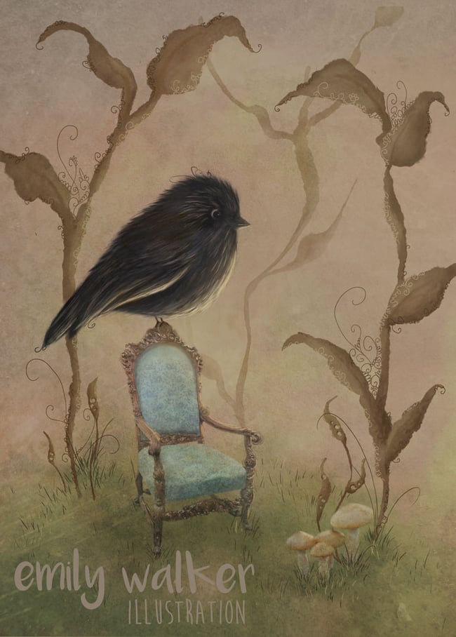 Karure (NZ Black Robin ) Limited Edition Art Print