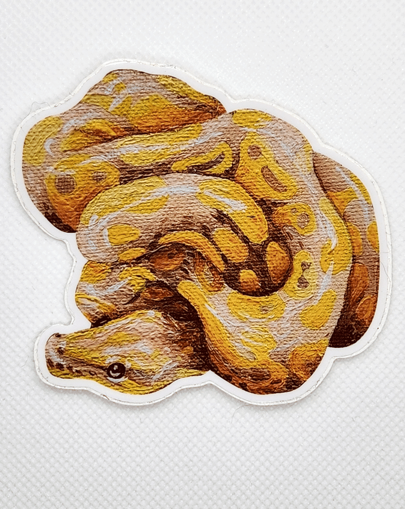 Image of Ball Python Sticker