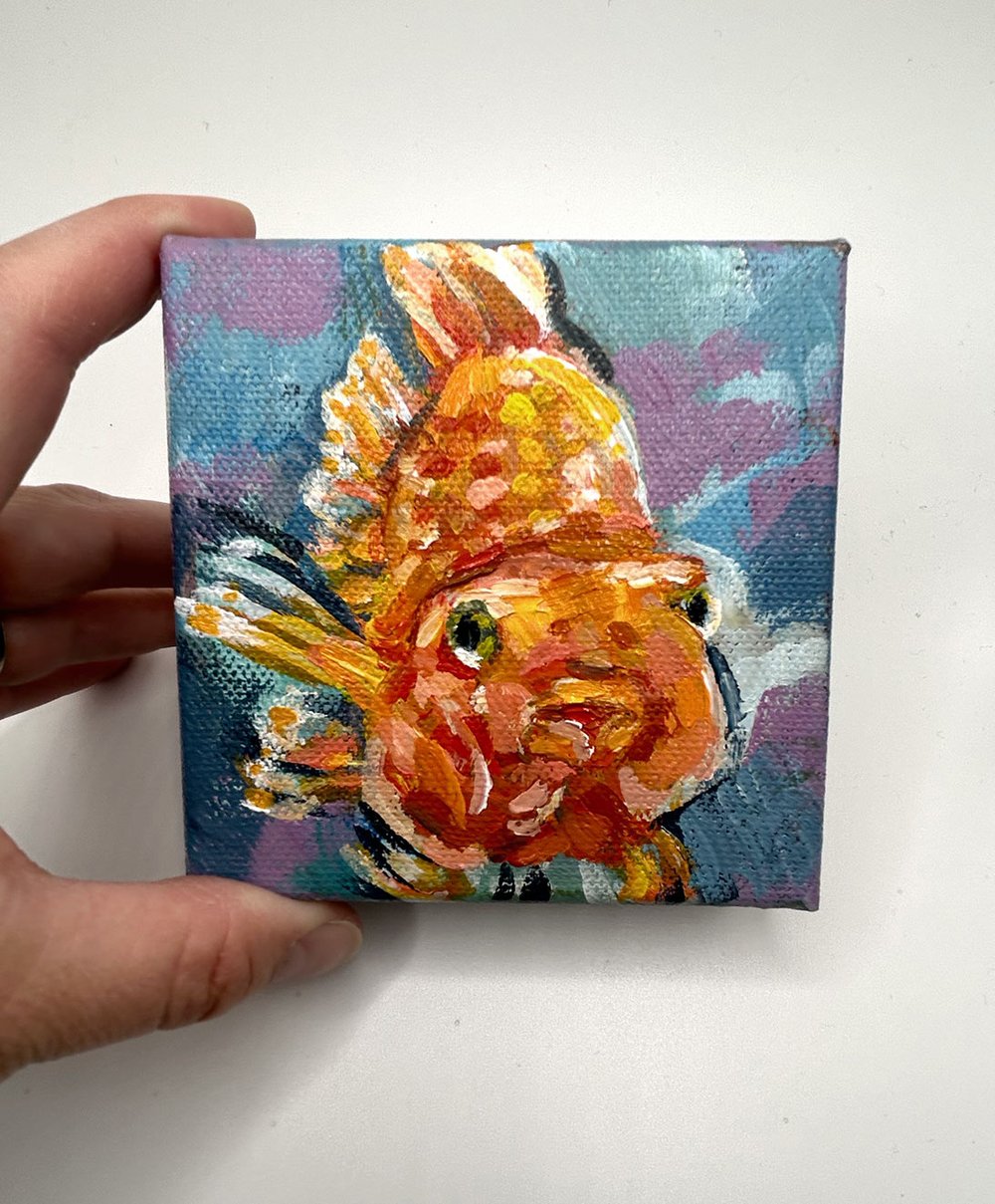 Smiles the Parrotfish – cute parrot cichlid mini painting