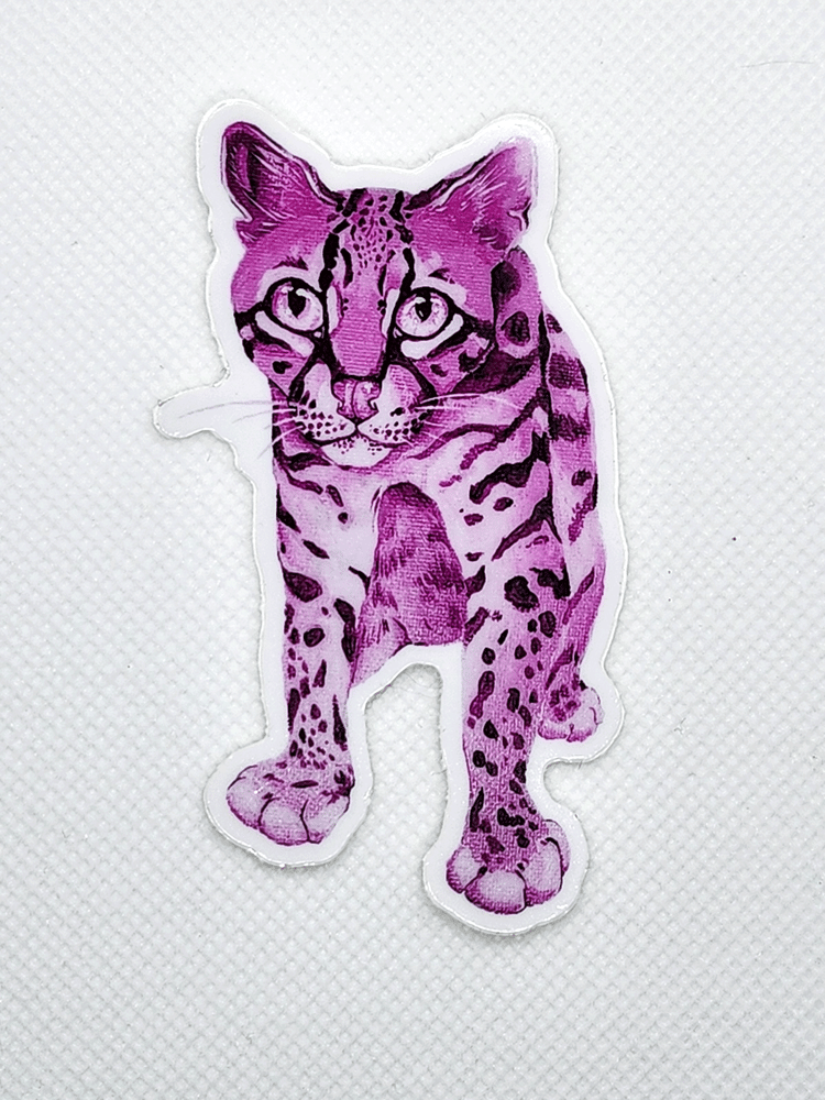 Image of Pink Ocelot Sticker