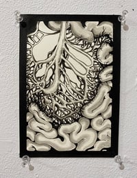 Image 2 of Anatomical Ink Prints - 5x7”