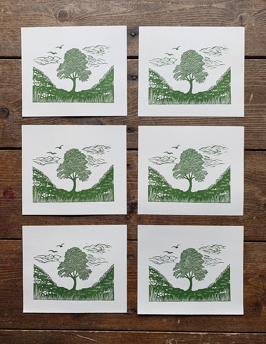 Image of Sycamore Gap - Linocut - Charity Print