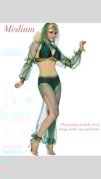 Image 2 of Halloween Costumes 2