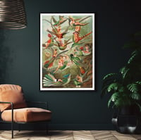 Image 2 of Humming birds - Fine art print