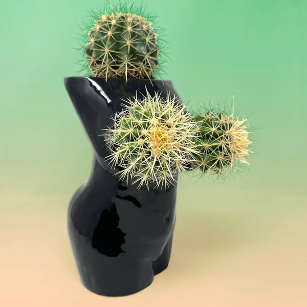 Image of Femme Planters