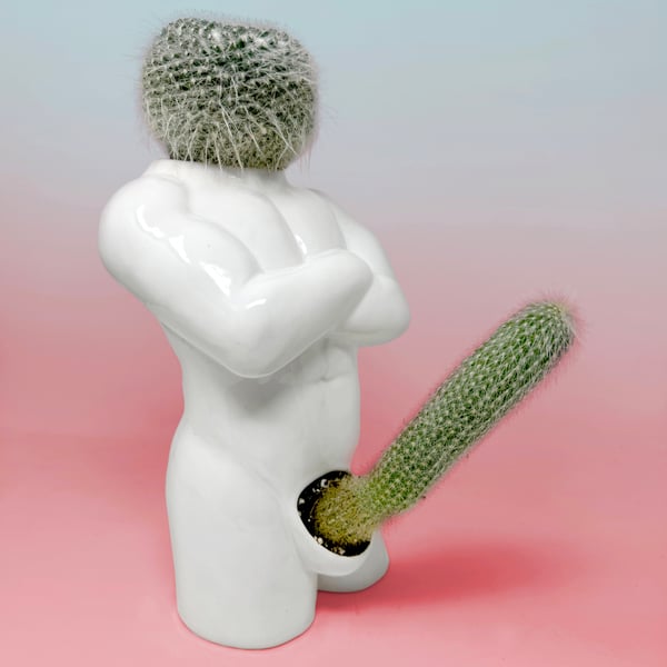 Image of Prick Planters