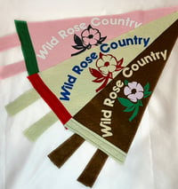 Image of Wild Rose Country