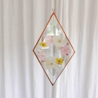Image 1 of Pressed Flower Suncatcher - Pink Rice Flower and Buttercups