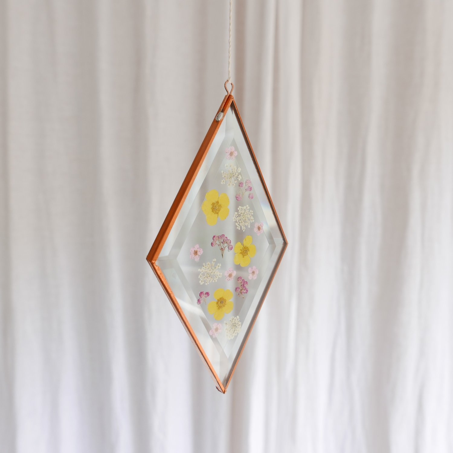 Image of Pressed Flower Suncatcher - Buttercup and Queen Anne's Lace