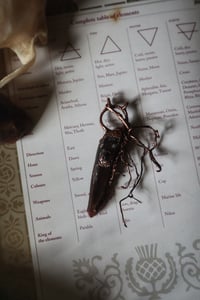 Image 1 of Protective Roots Smoky Quartz Crystal Talisman