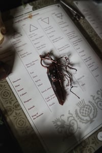 Image 5 of Protective Roots Smoky Quartz Crystal Talisman