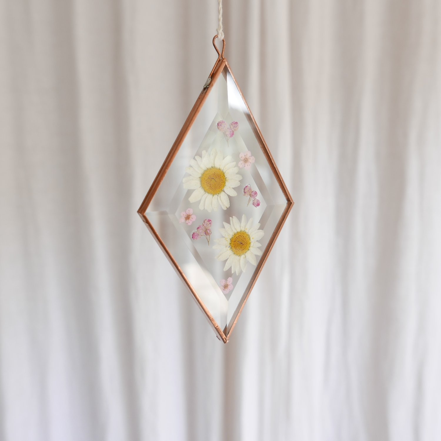 Image of Pressed Flower Suncatcher - Daisies and Rice Flower