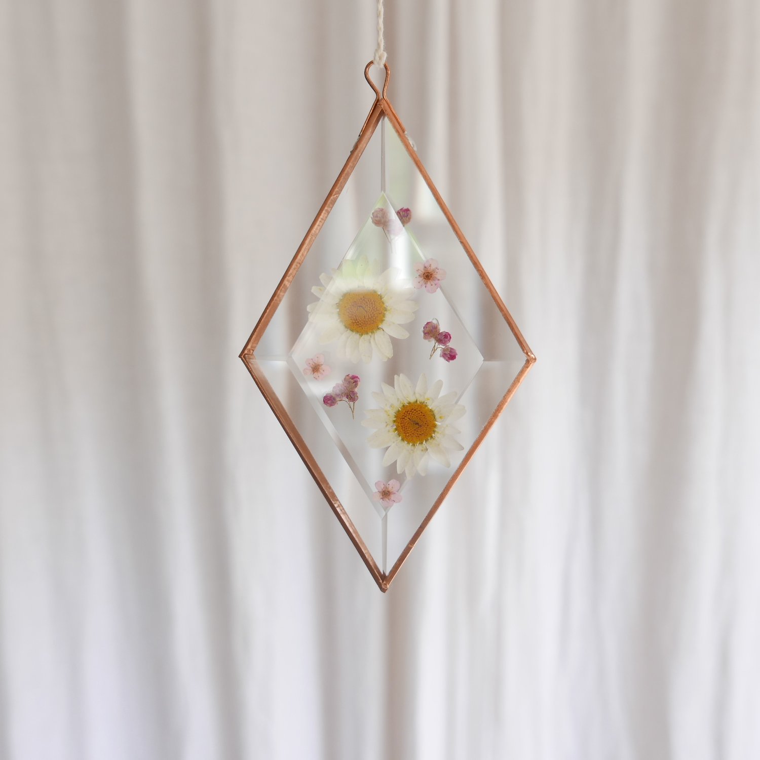 Image of Pressed Flower Suncatcher - Daisies and Rice Flower