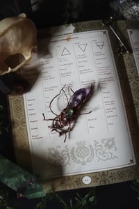 Image 4 of Witches Crystal Wand Talisman