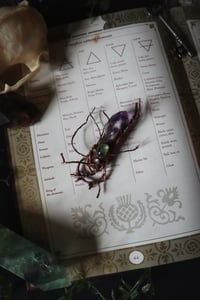 Image 5 of Witches Crystal Wand Talisman