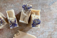 Image 3 of Evening Song (goats milk)