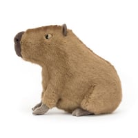 Image 2 of Clyde Capybara