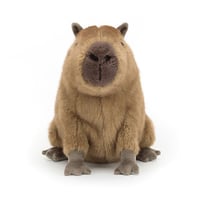 Image 3 of Clyde Capybara