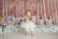 Image 2 of First Birthday and Cake Smash Session