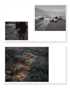 Ira - Rory Fuller