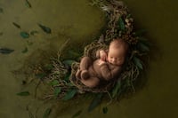 Image 3 of Fine Art Newborn Sessions