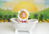 Image 1 of Milestone and Sitter Sessions