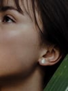 Orée, boucles d'oreilles