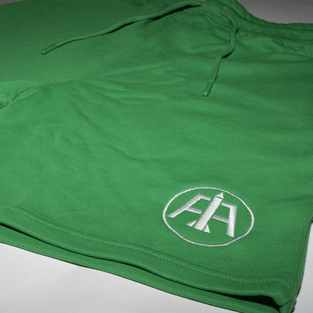 Green Aero Logo Embroidered Shorts 