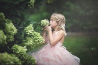 Image 5 of Fine Art Birthday Sessions