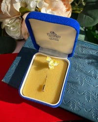 Image 1 of Vintage Aynsley Brooch