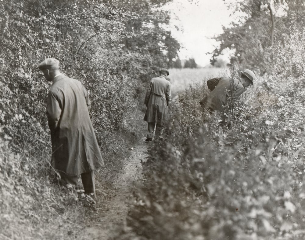 Image of Anonymous: Bloodhounds in hunt for two men, UK ca. 1934