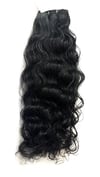 Divine Natural Curly