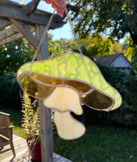 Image 2 of Mold Shroom
