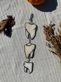 Image 1 of Teeth Chain