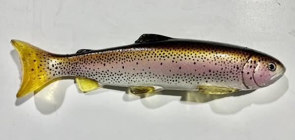 Image of 12" Line Through - Golden Rainbow