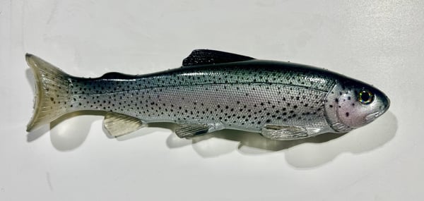 Image of 9.25" Line Through/Weedless Trout - All Purpose Trout