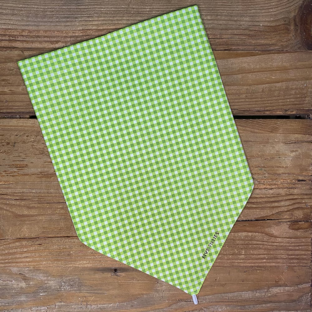 Image of Green Gingham Scarf