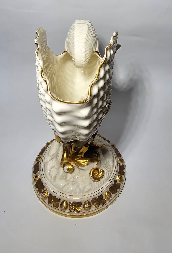 Image of Royal Worcester Nautilus Shell