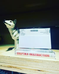 Image 2 of Ereptile Destruction - S/T