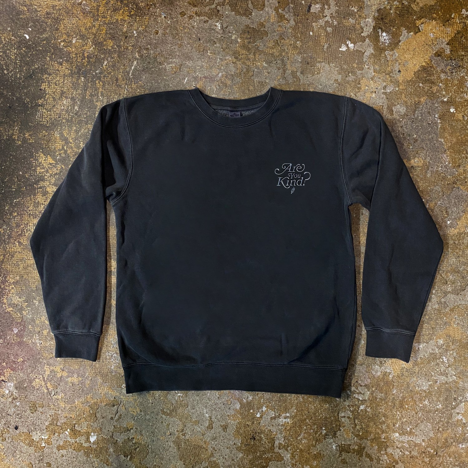 Image of Are You Kind? Embroidered Crew Neck