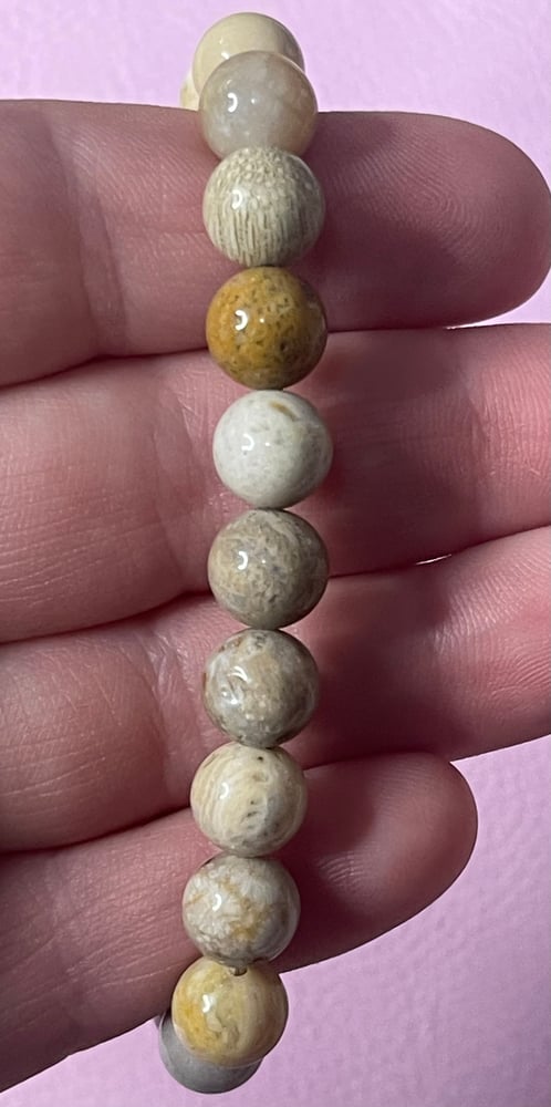 Image of Fossil coral bracelet 