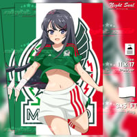 MAI SAN x MEXICO 