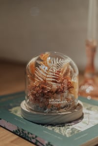 Flower cloche / rose edition