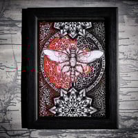 Image 1 of Geo Insect- Prints