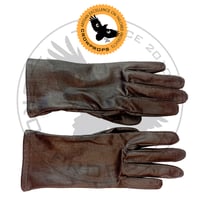 Image 2 of Hera Syndulla Ashoka Gloves